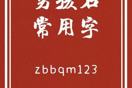 2019年6月21号寅时出生的男孩起名时要注意什么姓名