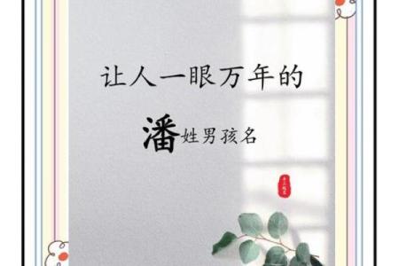 潘姓女孩名字大全-潘姓女孩起名字大全-潘姓名字大全姓名