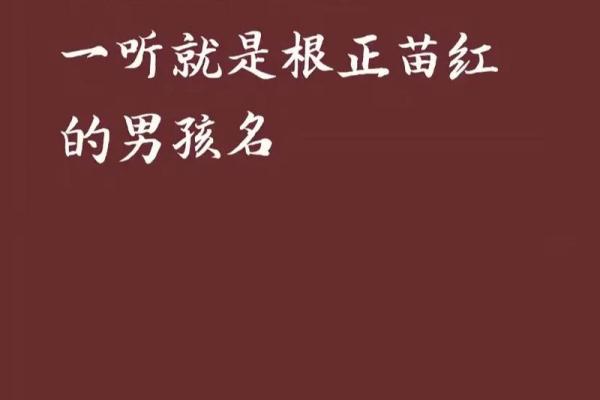 苗姓男孩名字大全-苗姓男孩起名字大全-苗姓名字大全姓名