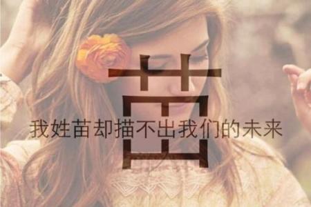 苗姓男孩名字大全-苗姓男孩起名字大全-苗姓名字大全姓名