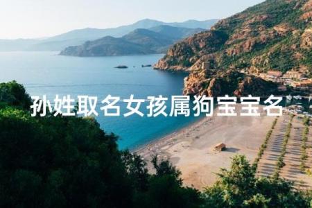 中午1点出生的属狗男孩如何取名，宜用什么字姓名