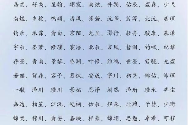 2019年4月11号寅时出生的男孩起名方法姓名