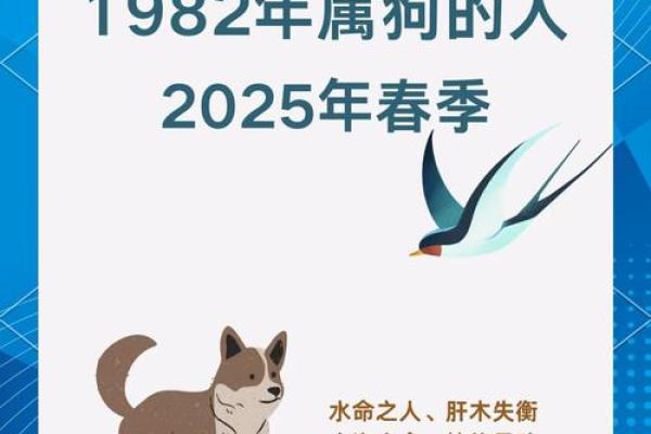 属狗巳时出生的男孩怎样取名字姓名