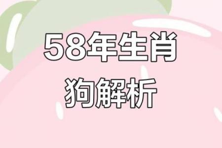 属狗巳时出生的男孩怎样取名字姓名