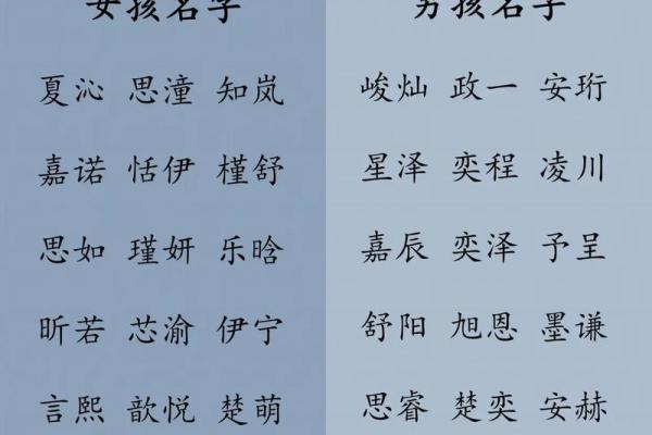 给凌晨2点出生的属鸡男孩取名字怎么取才合适姓名
