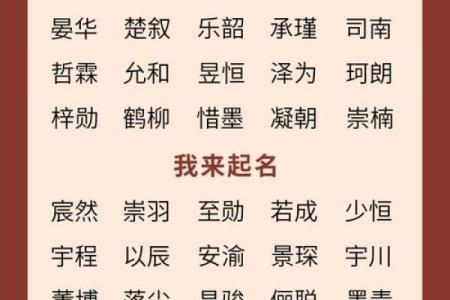 2019年5月3号卯时出生的男孩应该起什么样的名字姓名