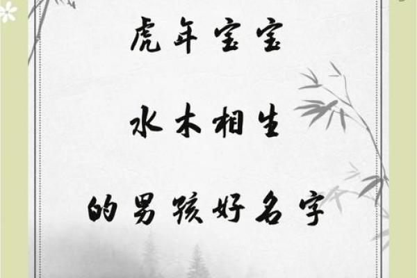 2019年6月20号寅时出生的男孩如何起名姓名