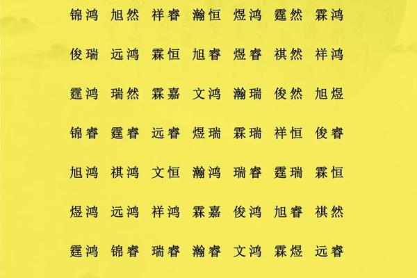 中午12点出生的属鸡男孩如何起名合适姓名