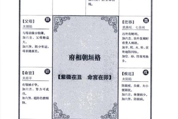 紫薇斗数pdf 紫薇斗数pdf