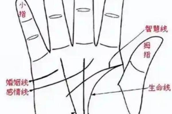 手相算命话语,手相算命说法 手相算命话语,手相算命说法