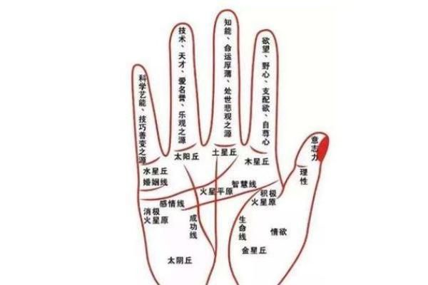 剖腹产八字准吗 剖腹产八字准吗