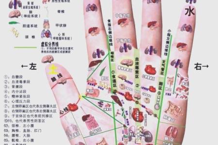 手相算命：健康