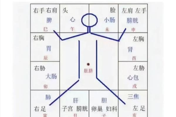 紫薇斗数子女宫在子 紫薇斗数子女宫在子