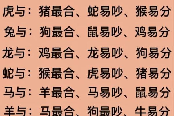 96年鼠和98虎八字合不合 96年鼠和98虎八字合不合朋友 96年鼠和98虎八字合不合 96年鼠和98虎八字合不合朋友