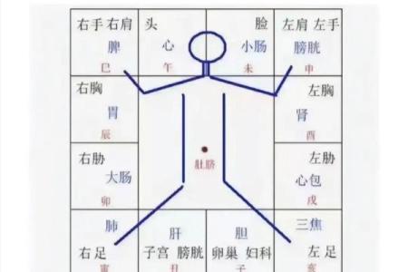 紫薇斗数子女宫在子