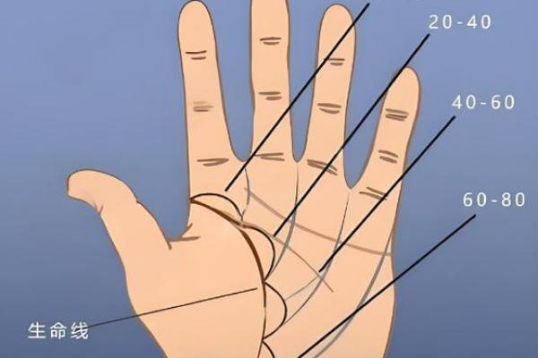 手相流年图算命——百发百中