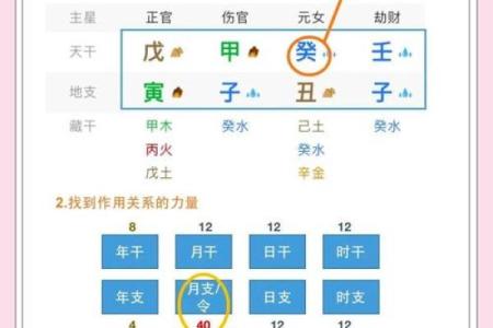 少年身强八字旺，命运远大前程显！