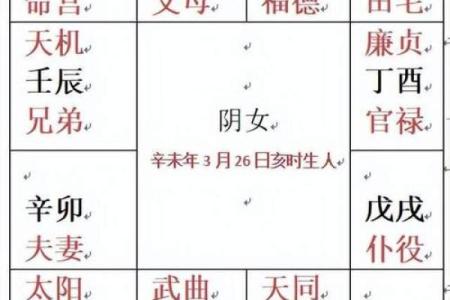 紫薇斗数如何排盘图