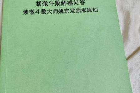 紫薇斗数实战视频