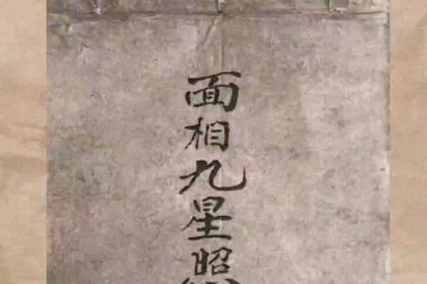 九星命理算命视频