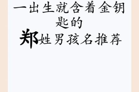 郑姓男孩名字大全-郑姓男孩起名字大全-郑姓名字大全姓名