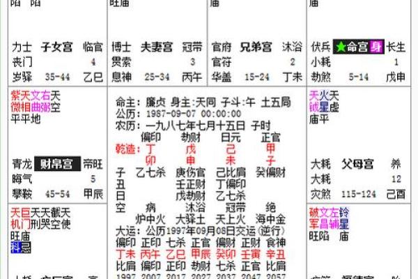 紫薇斗数耗驿 紫薇斗数耗驿