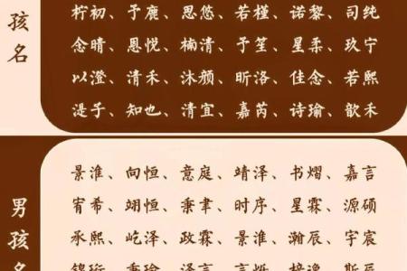 双胞胎宝宝起名的知识都有哪些-姓名学-华易网姓名