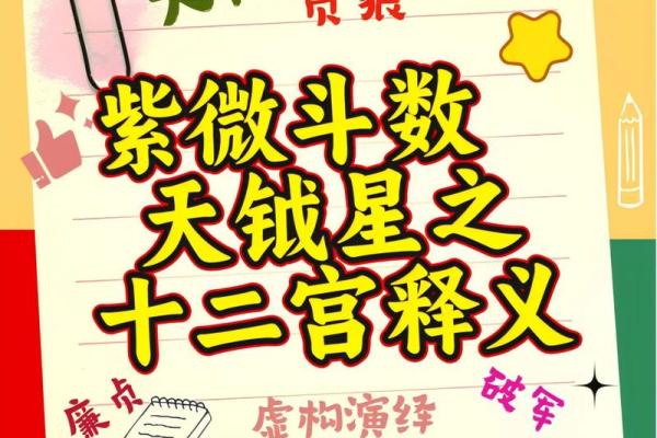 紫薇斗数软件破解