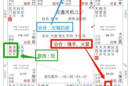 紫微斗数之各星曜所主行业：搞外销的看法