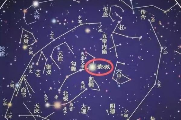 紫薇星君圣诞日