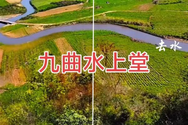 房子南有条河风水