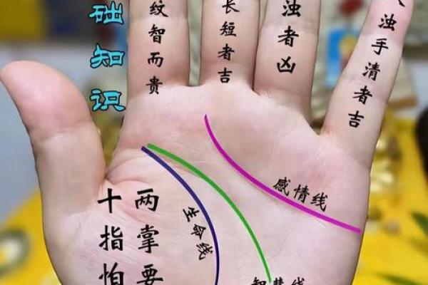 男人断掌手纹算命图解 男人断掌手纹算命图解