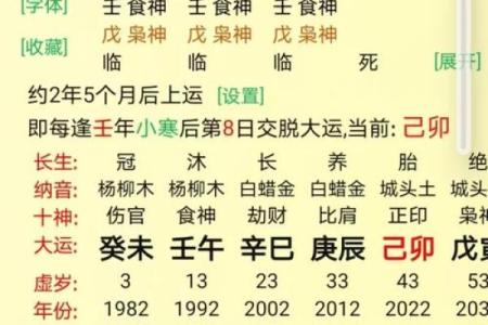 八字排盘如何看命