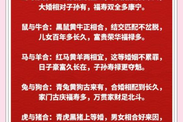 台湾十二生肖算命,十二生肖配对算命