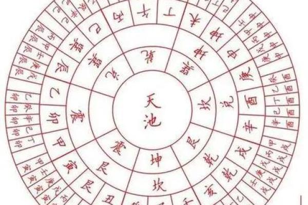 八字格局看天干还是地支