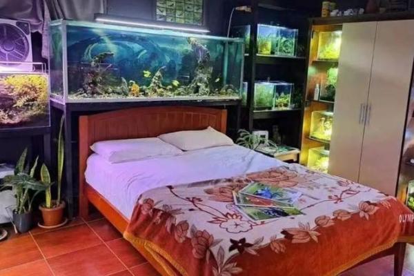 不利女性婚恋的家居风水有哪些