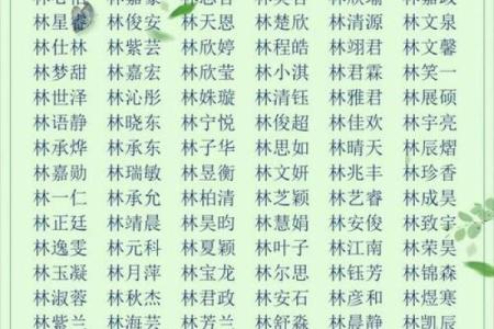 宝宝起名的艺术用字-姓名学-华易网姓名