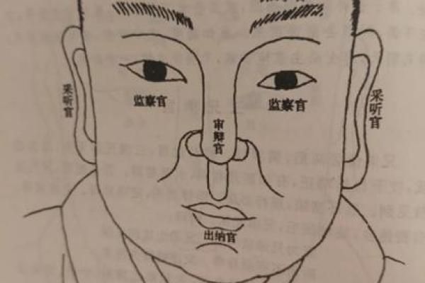 男人八字眉命运如何