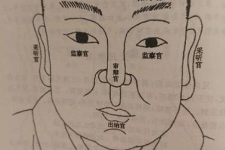男人八字眉命运如何