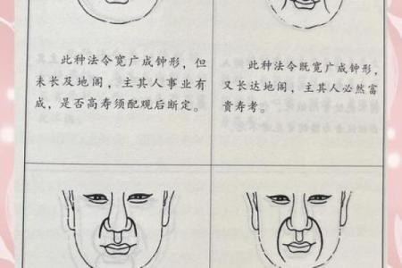 八字纹,八字纹是什么样子图片