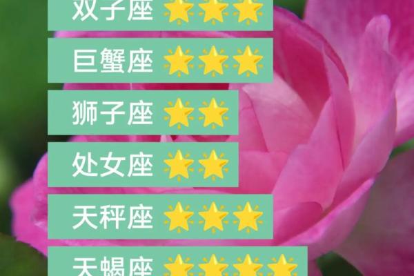 双子座今日运势星座2025年3月24日 双子座今日运势星座2025年3月24日