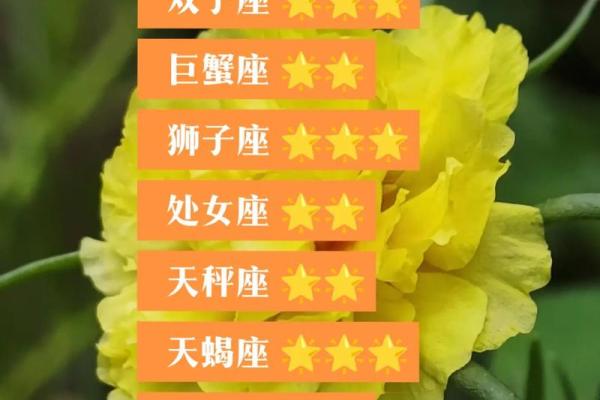 白羊座今日运势星座2025年3月26日 白羊座今日运势星座2025年3月26日