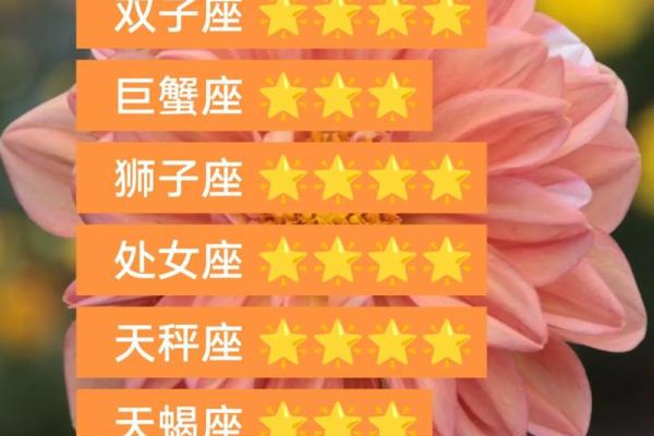 2025年3月29日处女座今日运势第一星座网 2025年3月29日处女座今日运势第一星座网