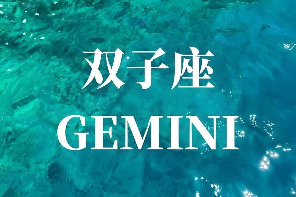 2025年双子星座运势 2025年双子星座运势详解事业爱情双丰收