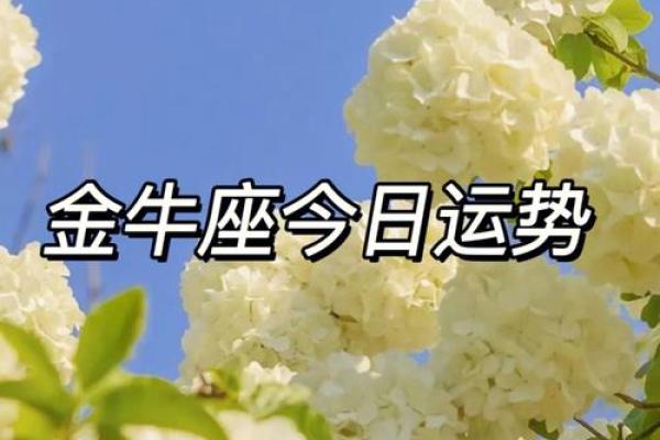 今日金牛座女运势查询星座屋_今日金牛座女运势查询星座屋独家解析