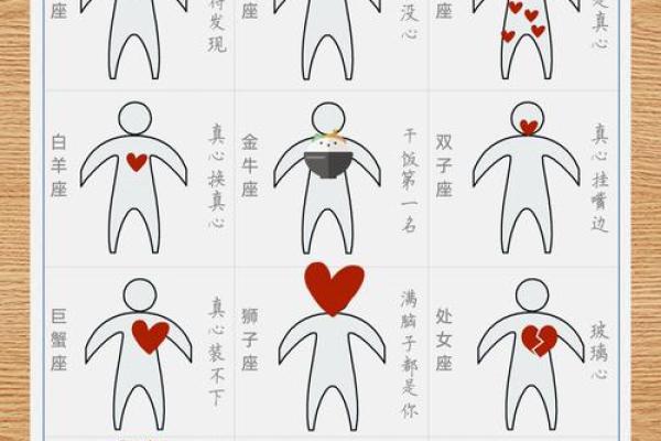 星座运势表 2024年星座运势表12星座全年运势详解 星座运势表 2024年星座运势表12星座全年运势详解