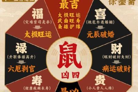 属鼠的搬家的黄道吉日(属鼠的搬家的黄道吉日有哪些)