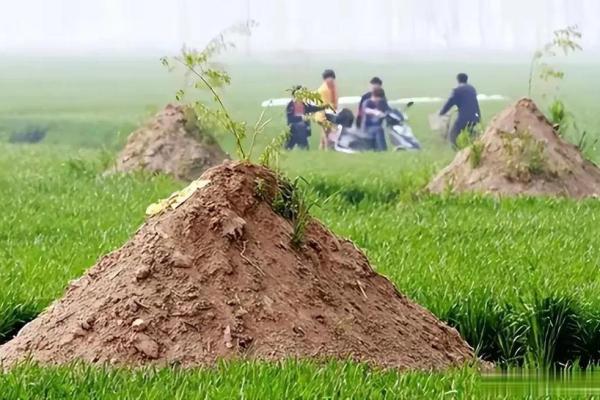 老坟动土有什么讲究(老坟动土有什么讲究和忌讳)