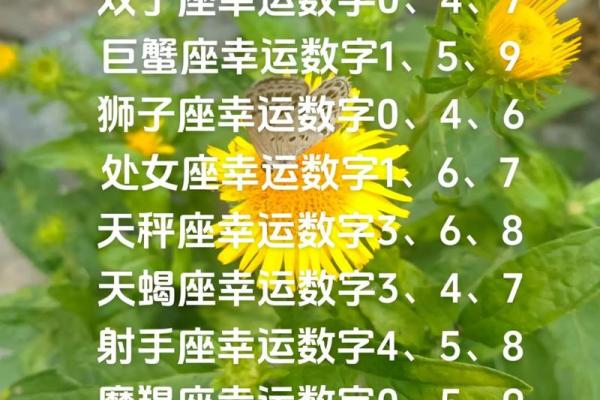 白羊座今日运势查询星座_白羊座今日运势 第一星座 白羊座今日运势查询星座_白羊座今日运势 第一星座