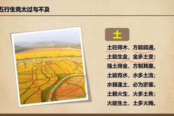 初一十五能动土吗